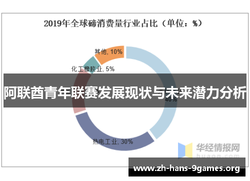 阿联酋青年联赛发展现状与未来潜力分析